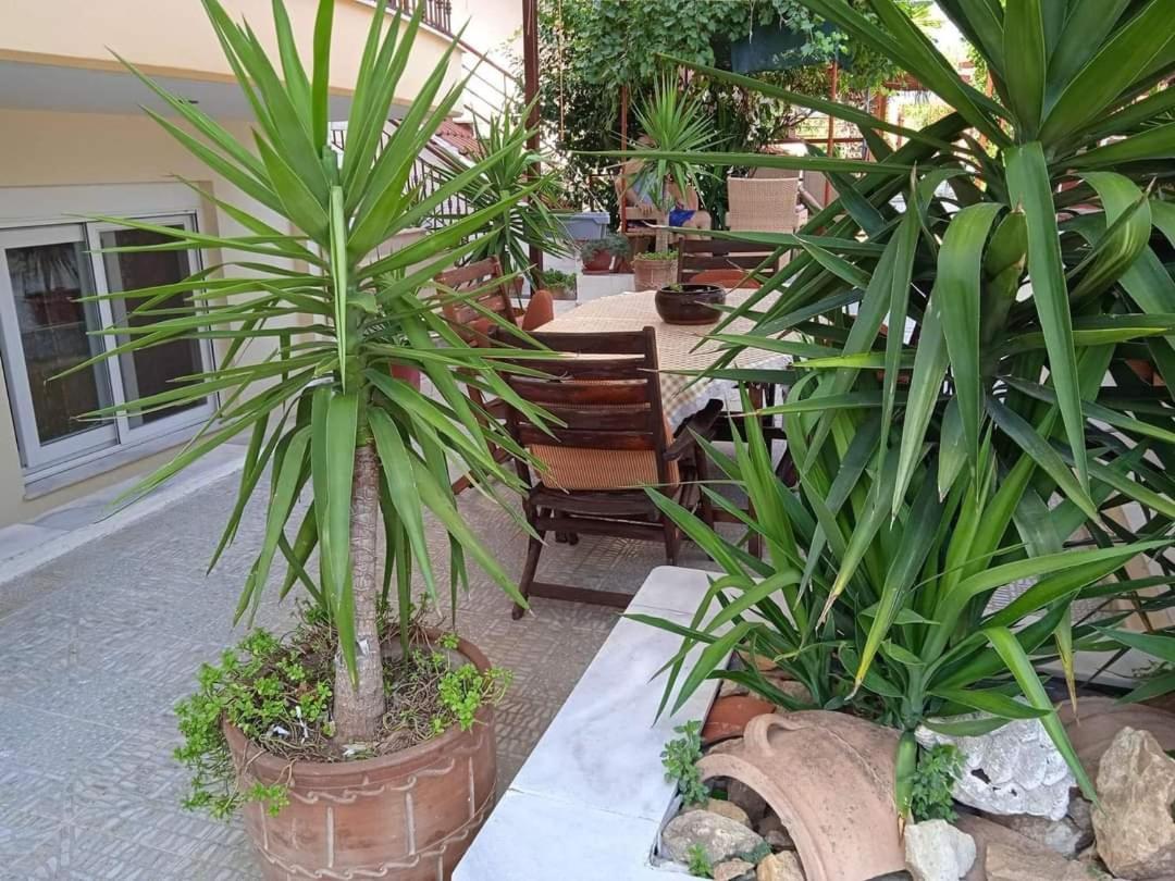 Blue Moon Accommodation 尼亚米卡尼奥纳 外观 照片