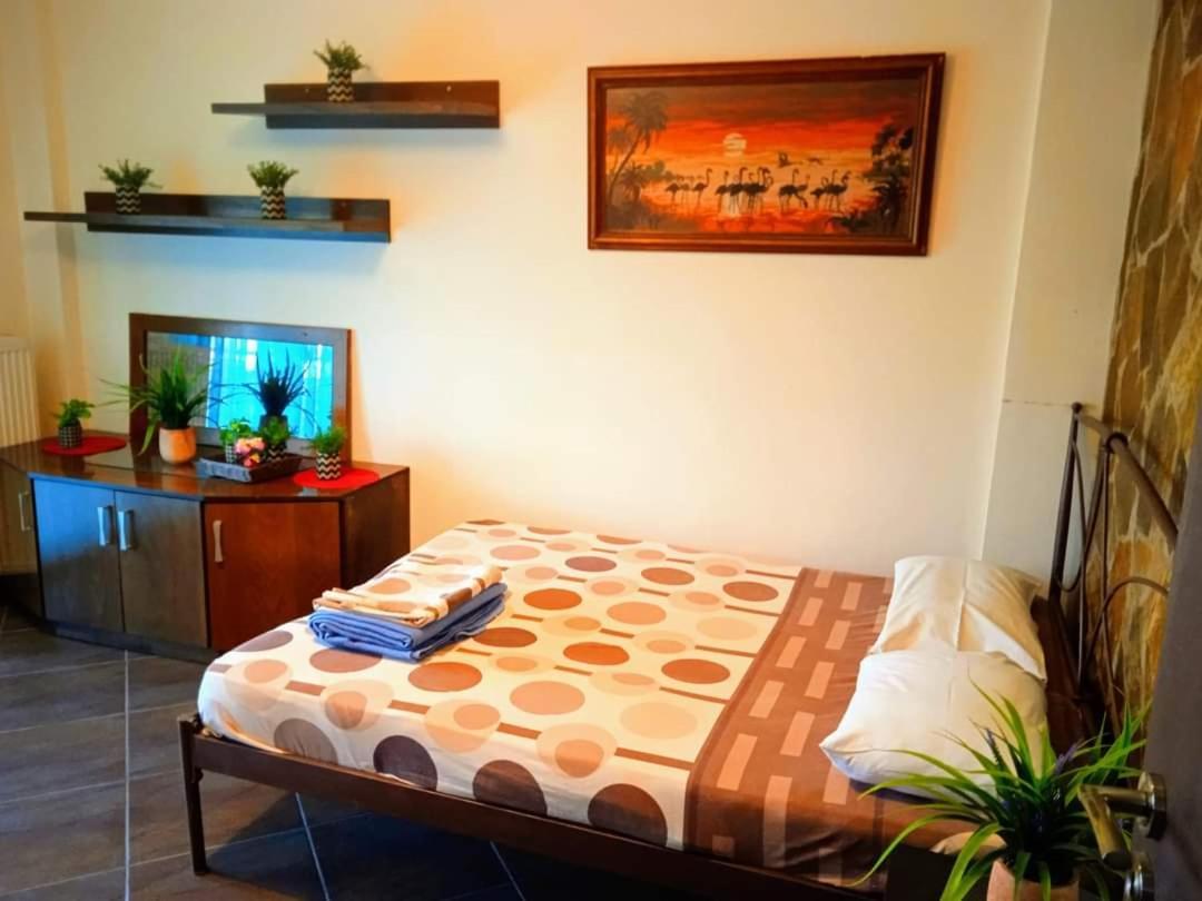 Blue Moon Accommodation 尼亚米卡尼奥纳 外观 照片